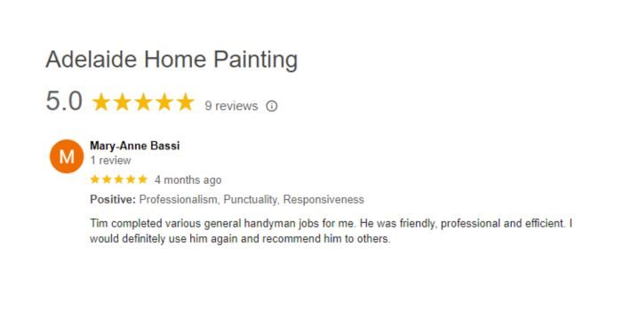 Adelaide Painter Reviews