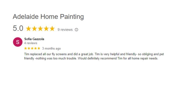 Adelaide Painting Reviews - Recommendation 2
